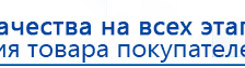 ЧЭНС-01-Скэнар-М купить в Верхней Салде, Аппараты Скэнар купить в Верхней Салде, Дэнас официальный сайт denasolm.ru